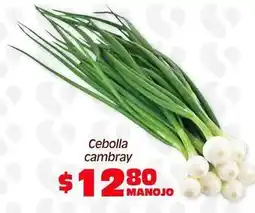 Soriana Híper Cebolla cambray oferta