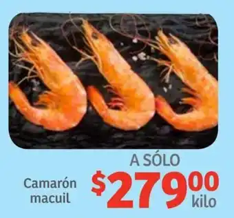 Soriana Híper Camarón Macuil oferta