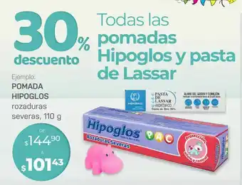 Pomada hipoglos rozaduras severas 110g