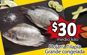 Mojarra Tilapia Grande Congelada