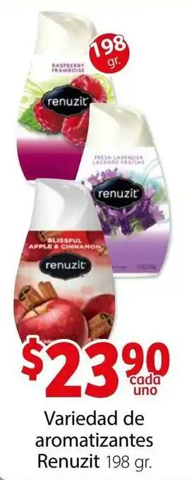 Vareidad de Aromatizantes Renuzit 198gr