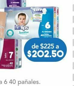 Bbtips pañal etapa 6 c/40pz
