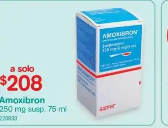 Medicamentos amoxibron 250 mg susp. 75 ml