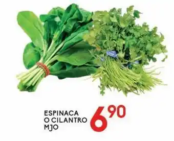 Espinaca o cilantro mjo