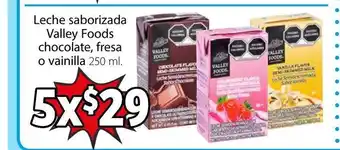 Leche saborizada Valley Foods Chocolate, fresa o vainilla 250 ml