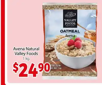 Avena Natural Valley Foods 1kg