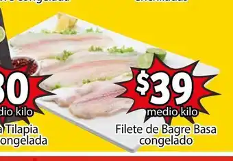 Filete de Bagre Basa congelado