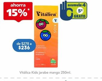 Vitalica kids jar mango c/250ml