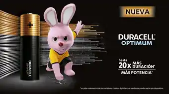 Pilas alcalinas duracell