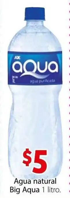 agua Natural Big Aqua 1L