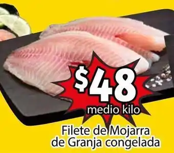 Filete de Mojarra de Granja Congelada
