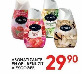 Aromatizante en gel renezuit