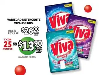 Variedad Detergente Viva 850g