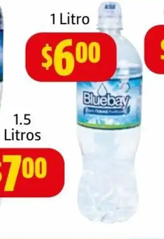 Farmacias Guadalajara Agua Natural Bluebay 1 Litro oferta