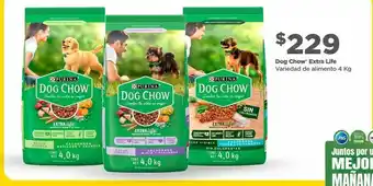 Bodega Aurrerá Alimento para perros dog chow 4kg oferta