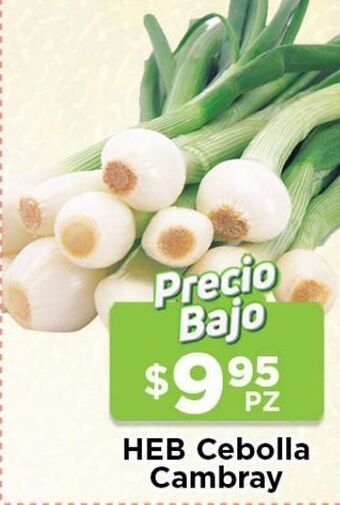 HEB Heb cebolla cambray oferta
