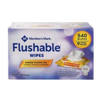 Sam's Club Toallas húmedas desechables member's mark flushable con 9 paquetes de 60 pzs c/u oferta