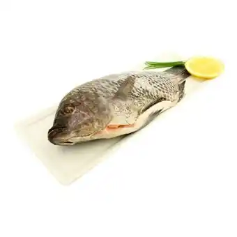 Mojarra tilapia por kilo