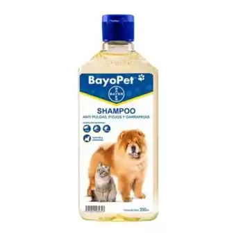 Häagen Dazs Shampoo antipulgas bayer bayopet para perros y gatos 350 ml oferta