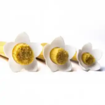 Medidor de spaguetti flor de lotto qualy