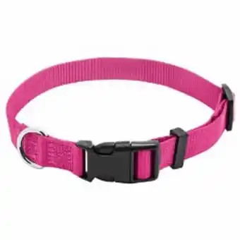 Collar para perro 3/8 x 8-1/2 rosa no. pe224004