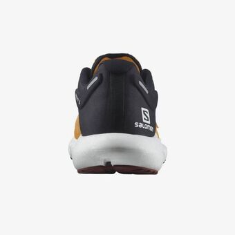 Salomon Tenis predict 2 oferta
