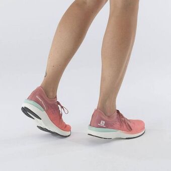 Tenis sonic 4 accelerate