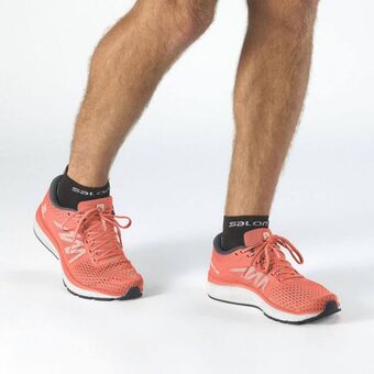 Salomon Tenis vectur oferta