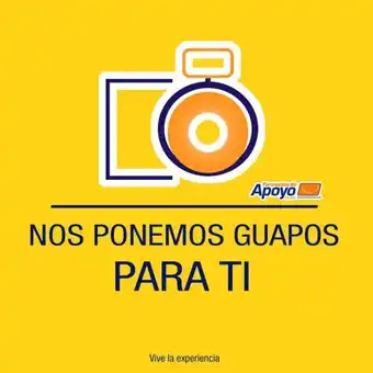 Farmacias de Apoyo Sebryl plus shampoo 150g oferta