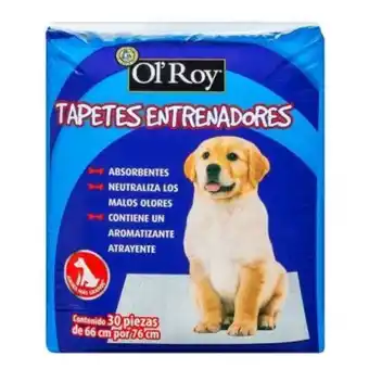 Tapetes entrenadores ol'roy de 66 cm x 76 cm 30 pzas
