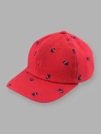 Gorra perritos