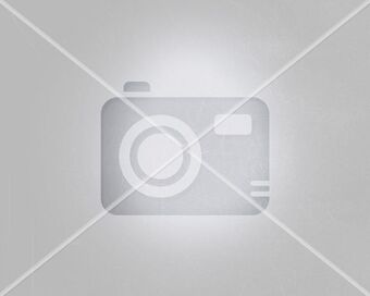 Chapur Tenis casual oferta