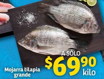 Soriana Híper Mojarra Tilapia Grande oferta