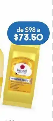 Farmacia San Pablo . benzal toallitas manzanilla 20 piezas oferta