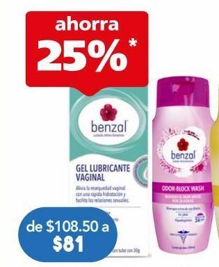 Benzal gel lubricante vaginal 30g.