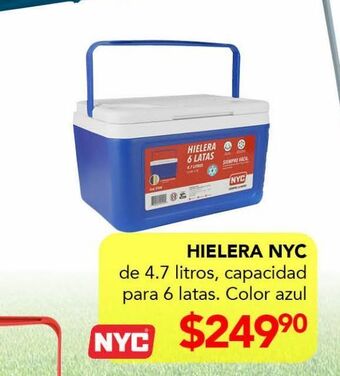 DelSol Hielera nyc oferta