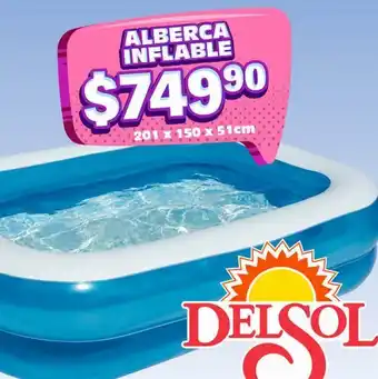 DelSol Alberca infantil oferta