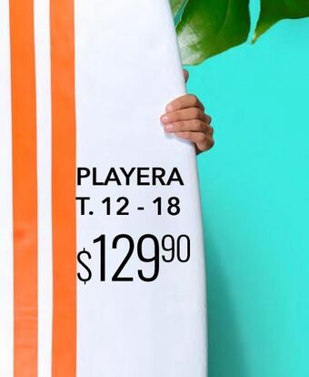 DelSol Playera hombre oferta