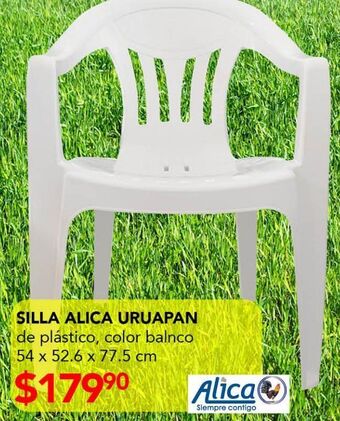 Silla alica uruapan
