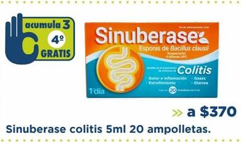 Farmacia San Pablo Sinuberase colitis 5ml 20 ampolletas. oferta