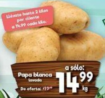 Papa Blanca