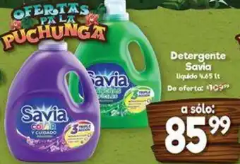Detergente Savia 4,65lt