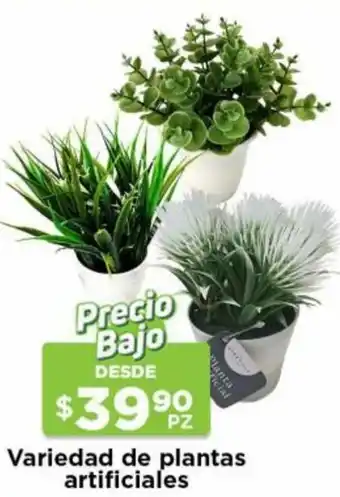 Variedad de Plantas Artificiales