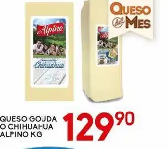 Queso gouda o chihuahua alpino