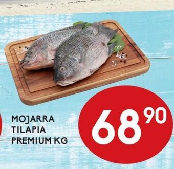 Alsuper Mojarra tilapia premium kg oferta