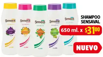 Farmacias Guadalajara Sahmpoo Sensaval 650ml oferta