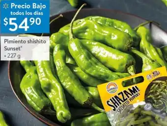 Pimiento Shishito Sunset 227g