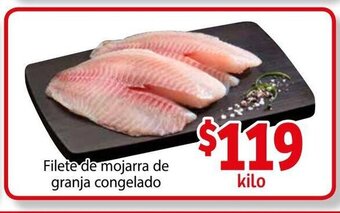 Filete de mojarra de granja congelado