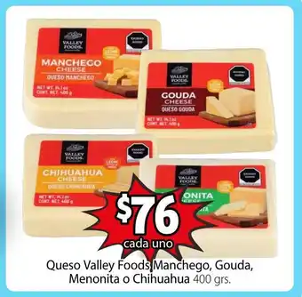 Queso Valley Foods Manchego, Gouda, Menonita o Chihuahua 400 grs.