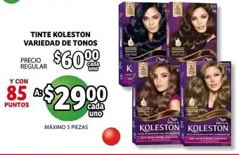 Tinte Koleston Variedad De Tonos
